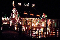 Save Our Earth - Christmas House